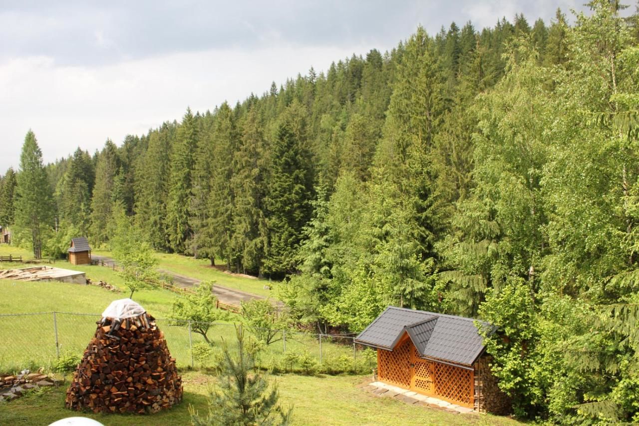 Курортные отели Karpatska Villa Микуличин-13